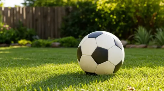 Ein klassischer schwarz-weißer Kinderfußball liegt auf einer kurz gemähten grünen Rasenfläche im Garten